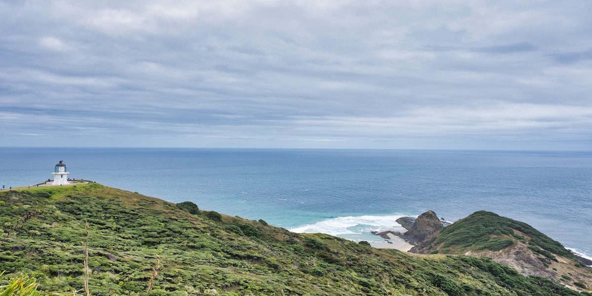 1 Amazing Tour to Cape Reinga, New Zealand