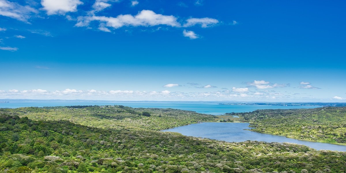 The 2 Best of Auckland’s West Coast Beaches