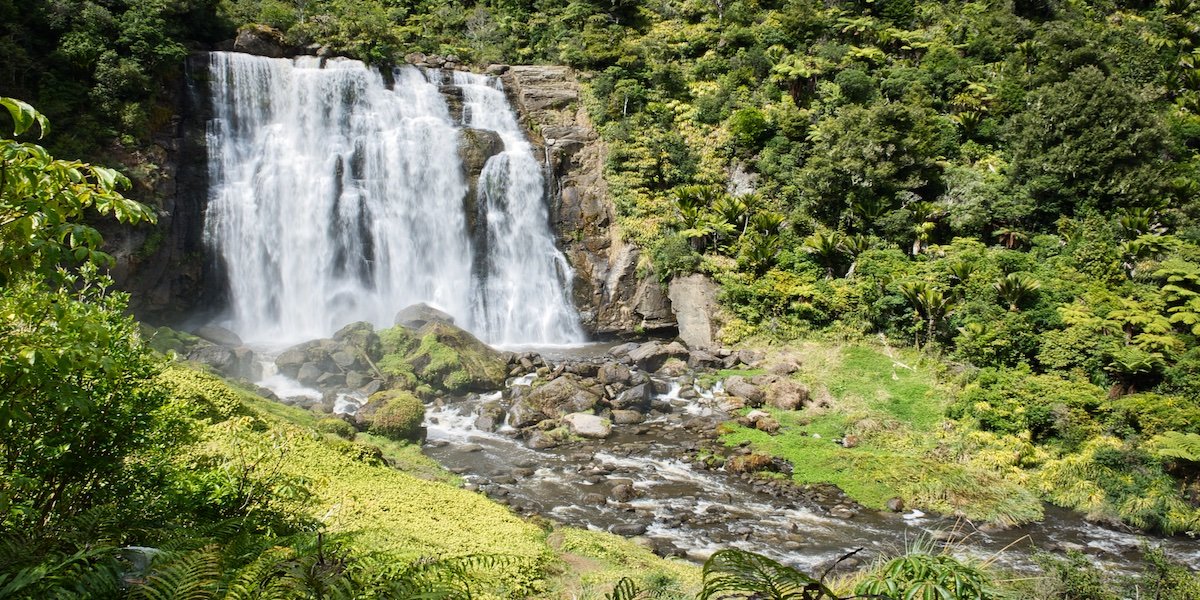 See These 5+ Natural Attractions Near The Waitomo Caves, New Zealand