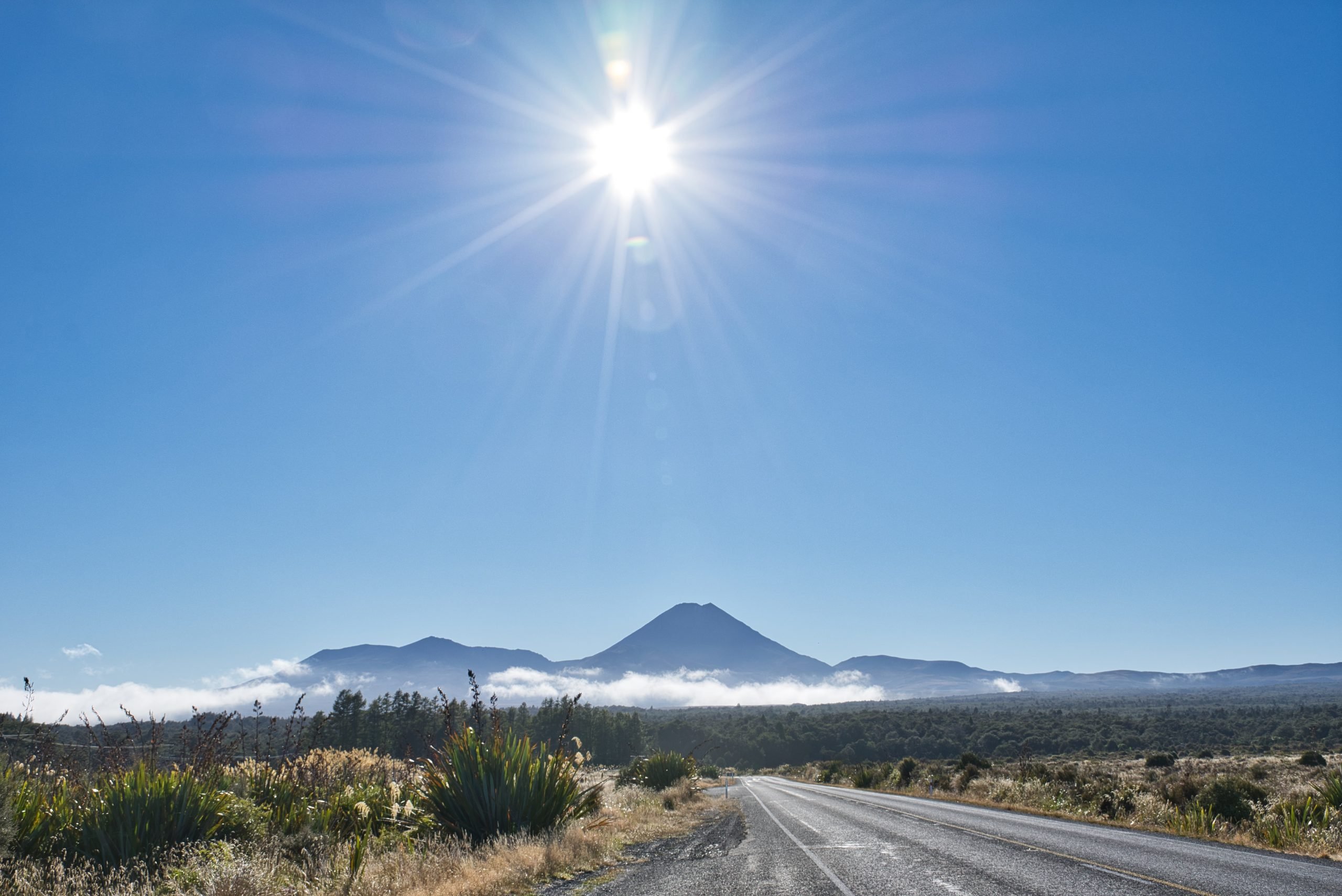 14 Easy, Beautiful Day Walks in Tongariro National Park, New Zealand