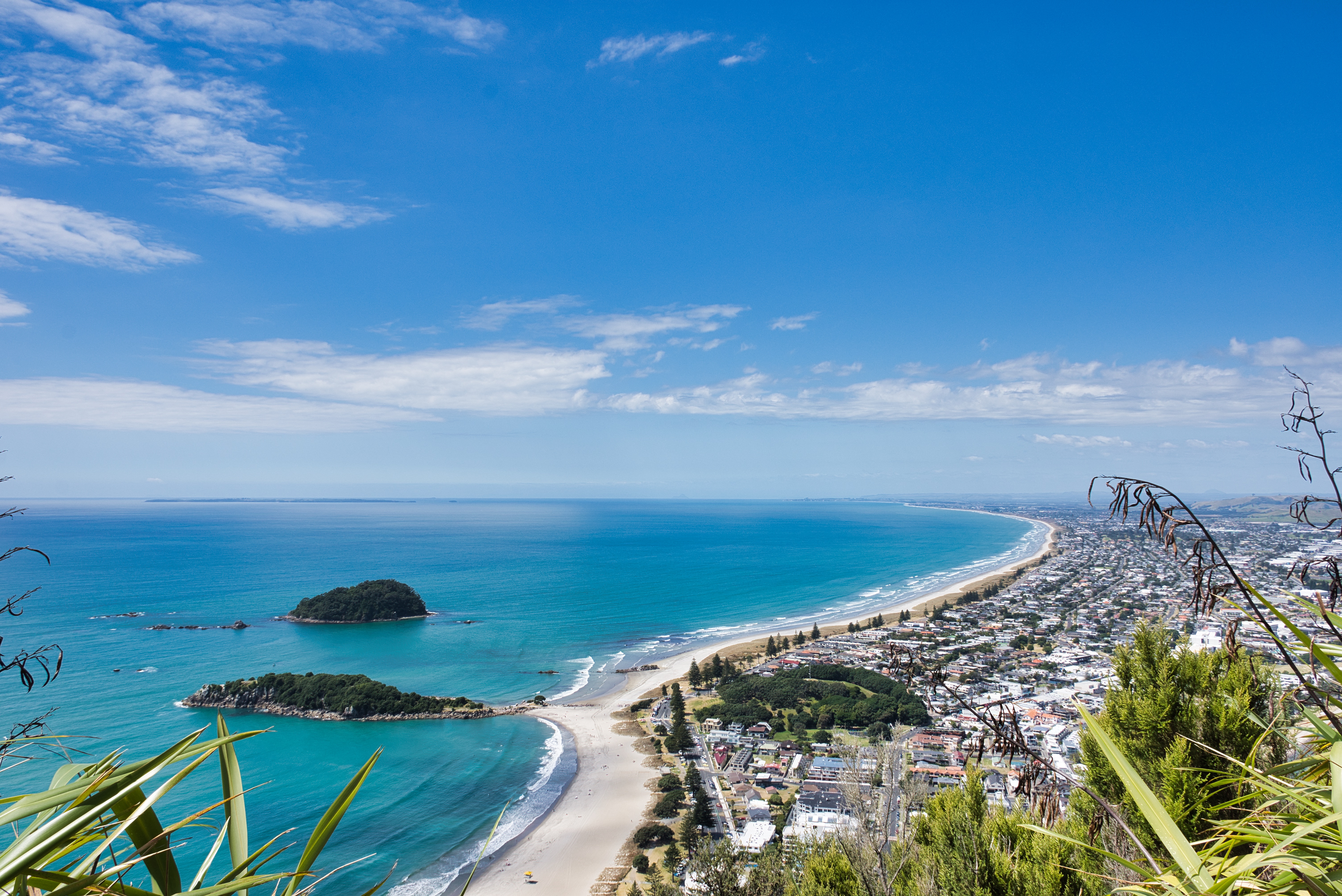 2 Beautiful Scenic Walks Near Tauranga NZ – McLaren Falls and Mount Maunganui