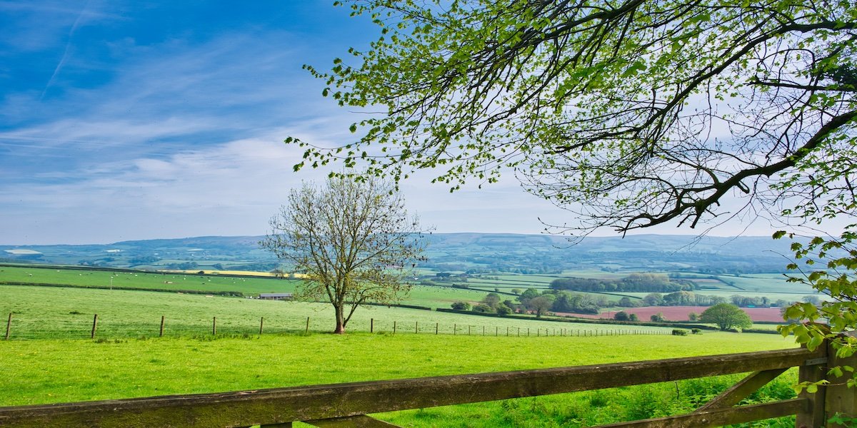 Explore the Stunning Countryside of Exmoor National Park, England