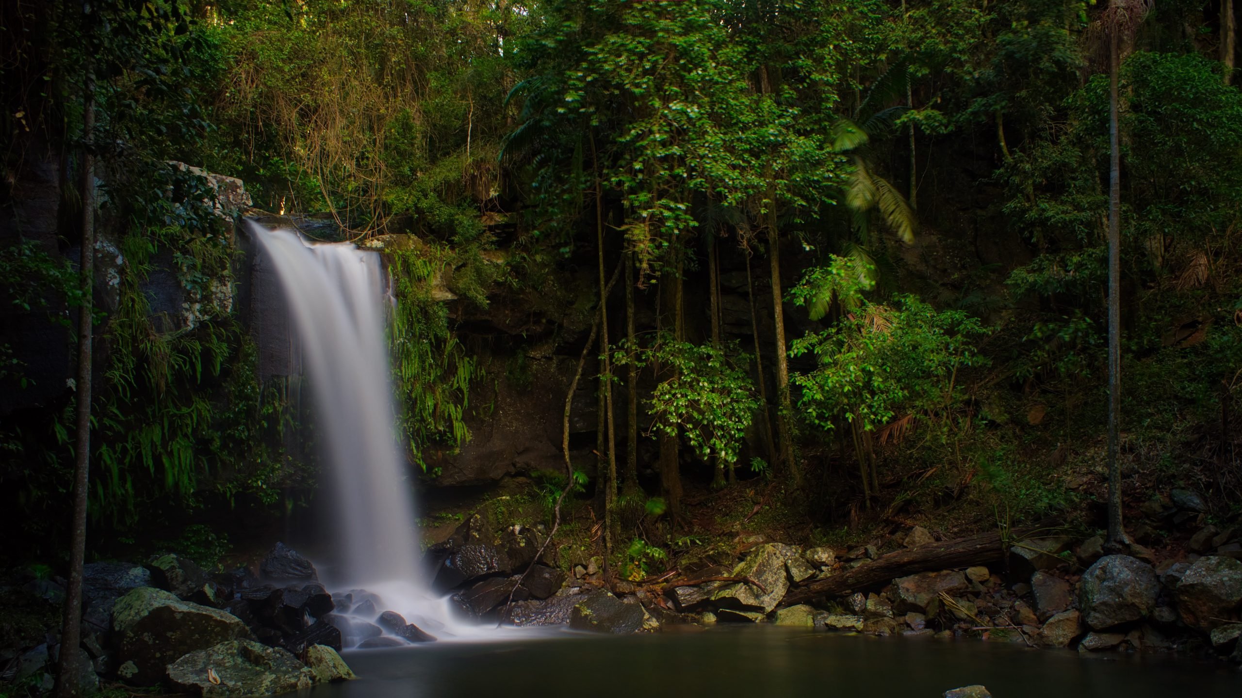 GOLD COAST HINTERLAND — TRAVELLING WITH MY NIKON