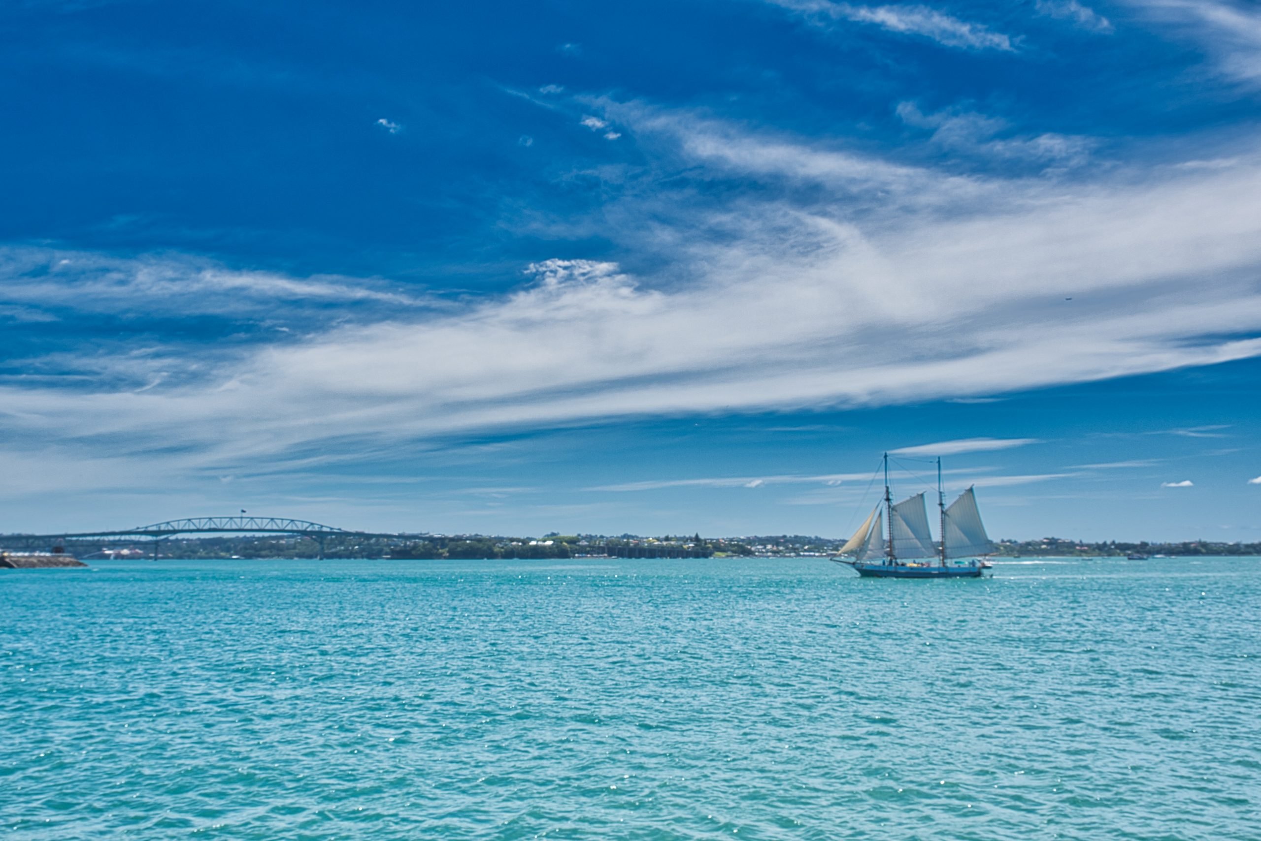 27+ Cheap, Free and Fantastic Auckland Attractions in Photos
