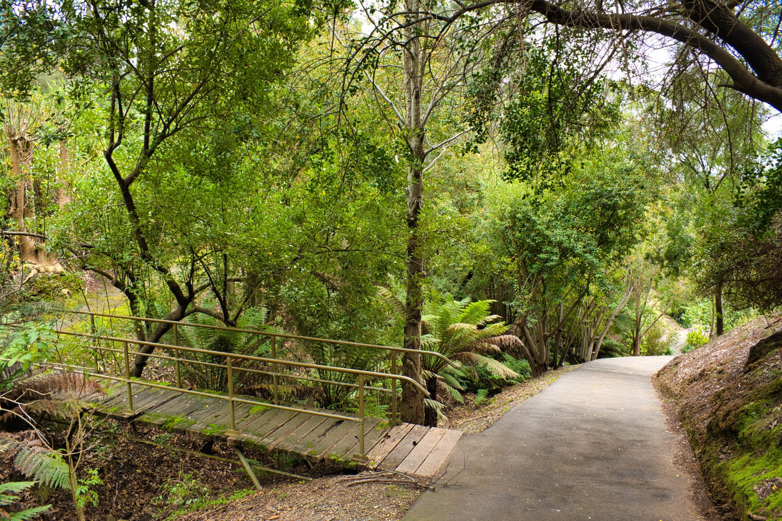 3 Beautiful Botanic Gardens in Adelaide, South Australia