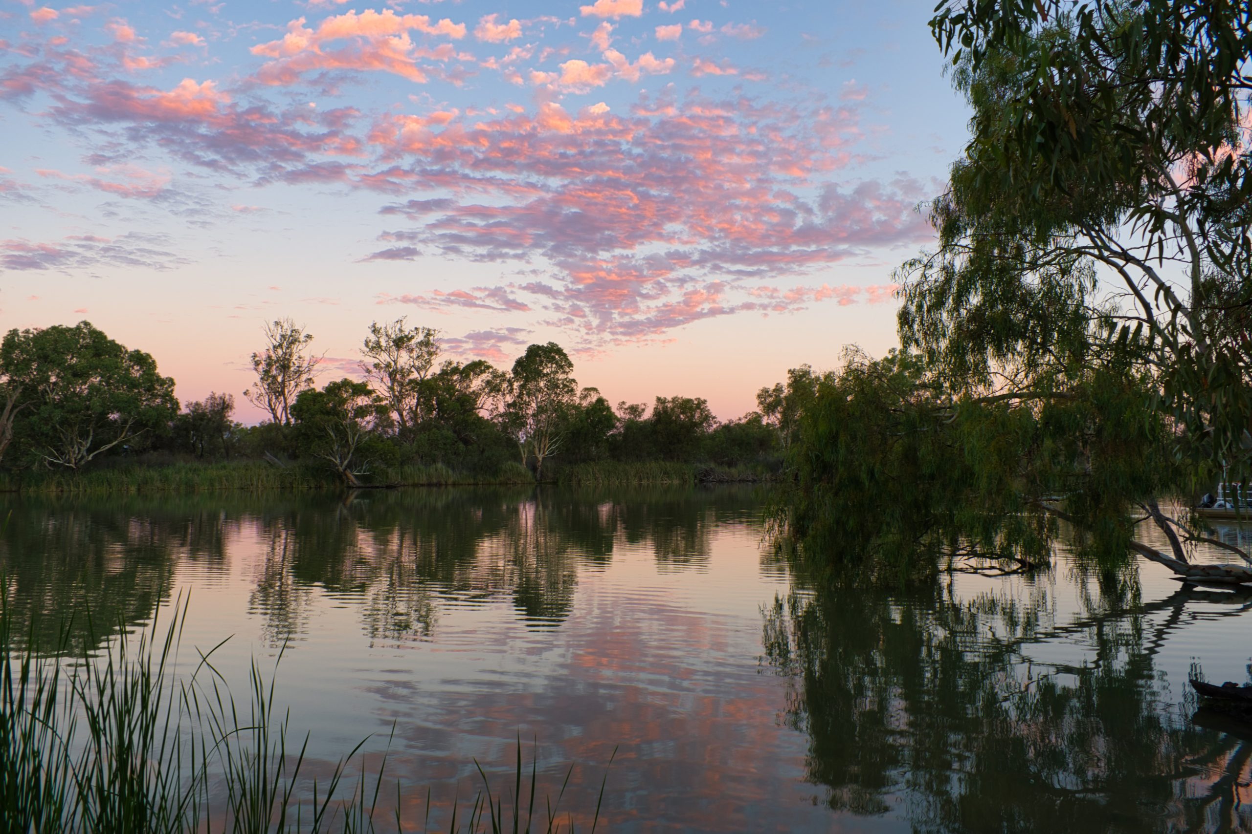 Enjoy Nature & Attractions on the Murray River: Rowing The Murray River From Renmark, South Australia to Waikerie, South Australia