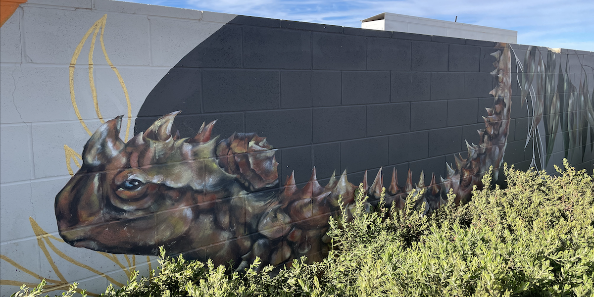 Visit The Beautiful Street Art In Kalgoorlie W.A., Australia